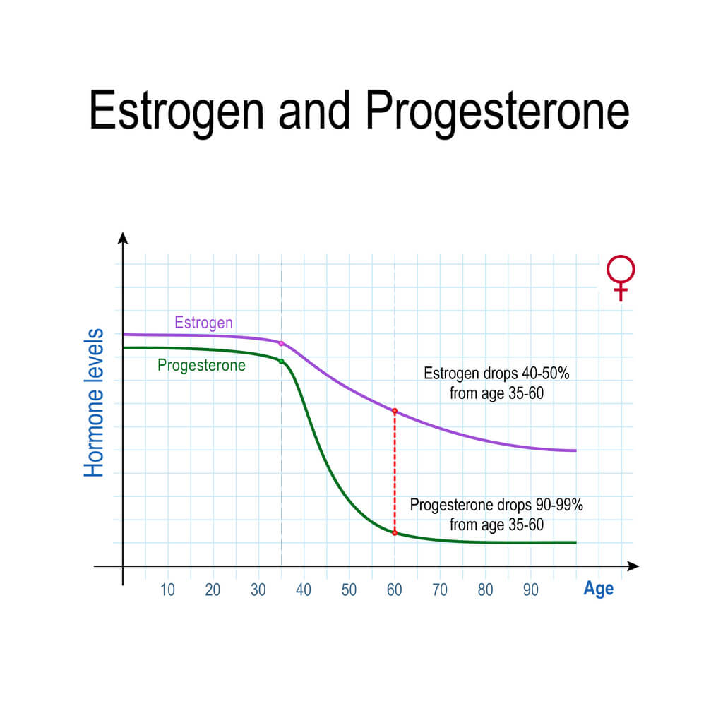 estrogen